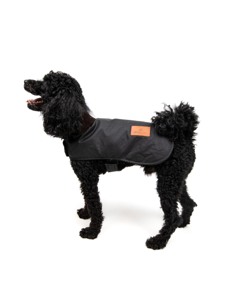 Yağlı Koton Köpek Montu Siyah ,Wax Cotton Dog Coat Black