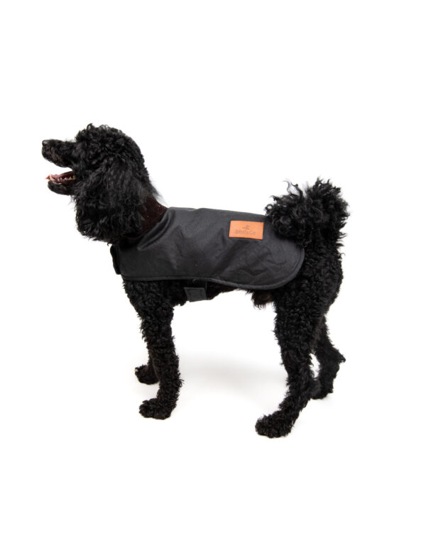 Yağlı Koton Köpek Montu Siyah ,Wax Cotton Dog Coat Black