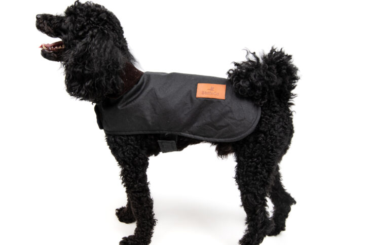 Yağlı Koton Köpek Montu Siyah ,Wax Cotton Dog Coat Black