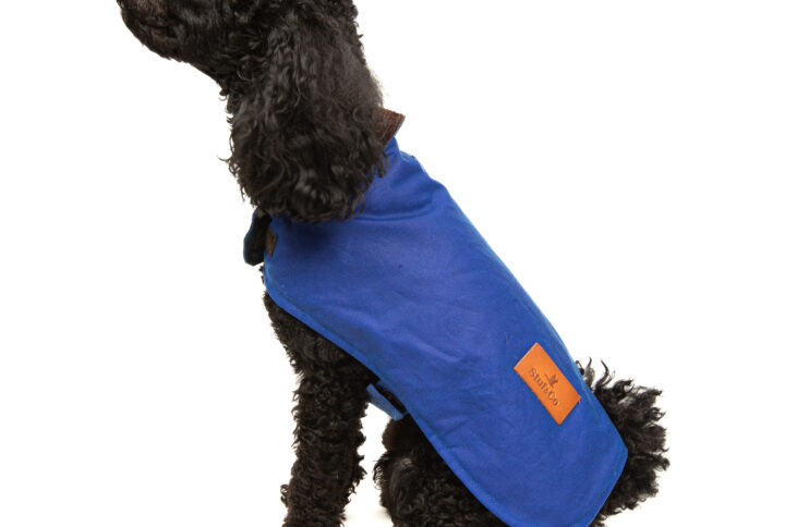 Yağlı Koton Köpek Montu Ege Mavisi  ,Wax Cotton Dog Coat Aegean Blue