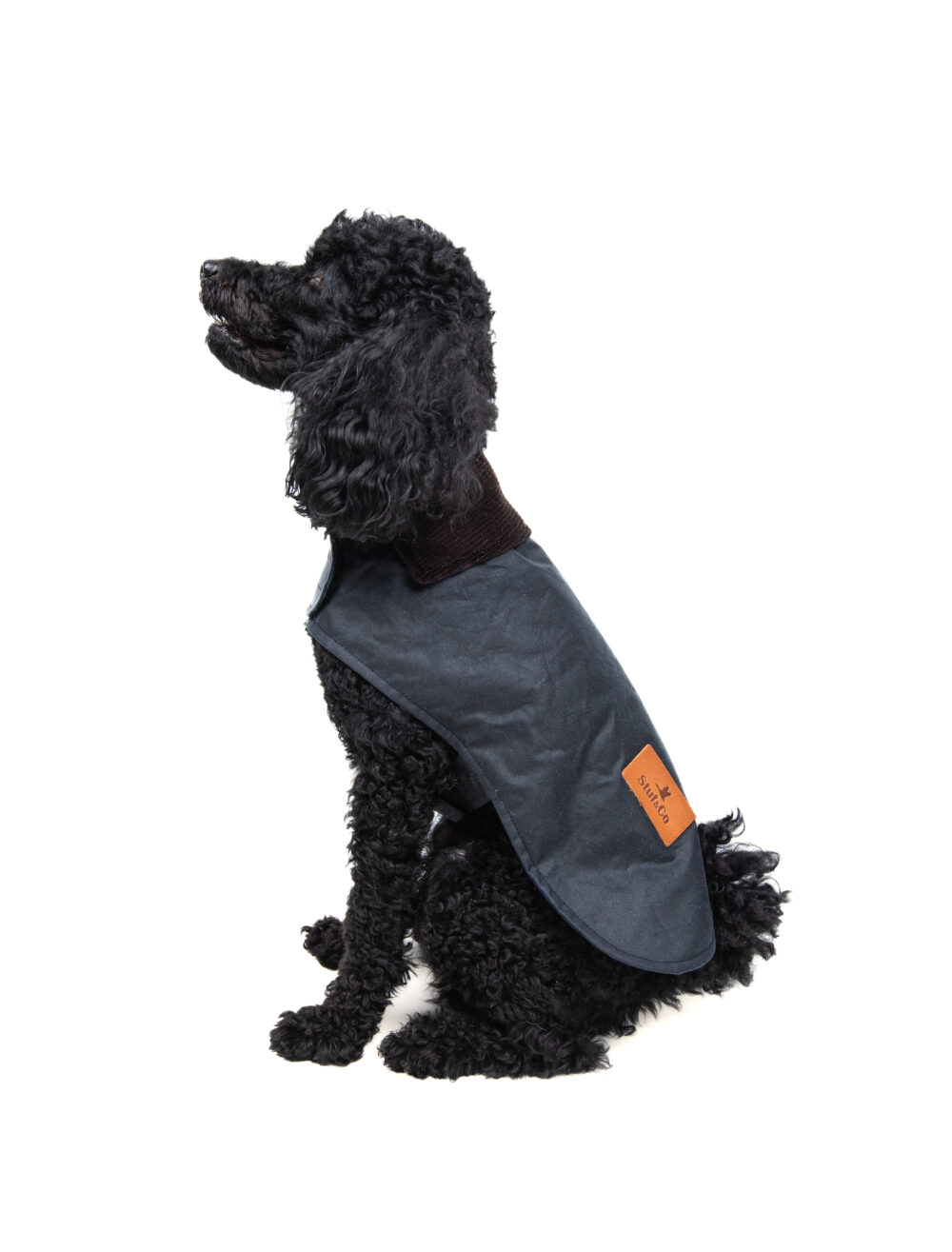 Yağlı Koton Köpek Montu Lacivert  ,Wax Cotton Dog Coat Navy