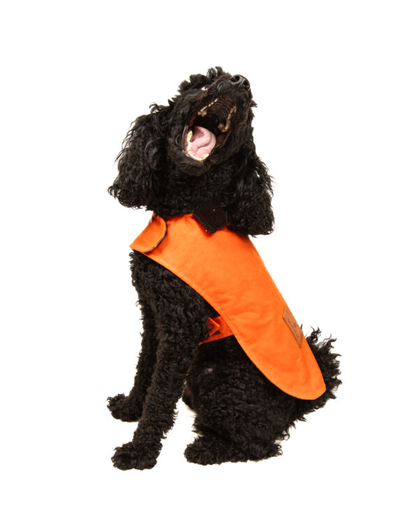Yağlı Koton Köpek Montu Turuncu  ,Wax Cotton Dog Coat Orange