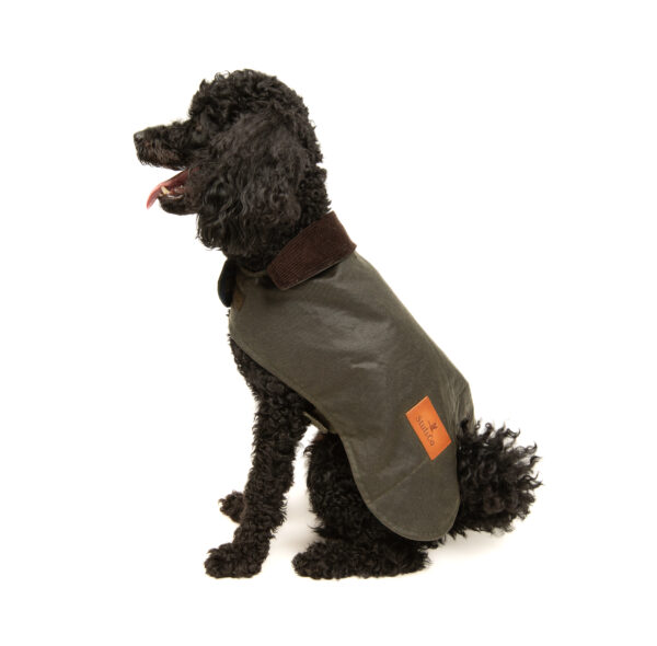 Yağlı Koton Köpek Montu Olive Green ,Wax Cotton Dog Coat Olive Green