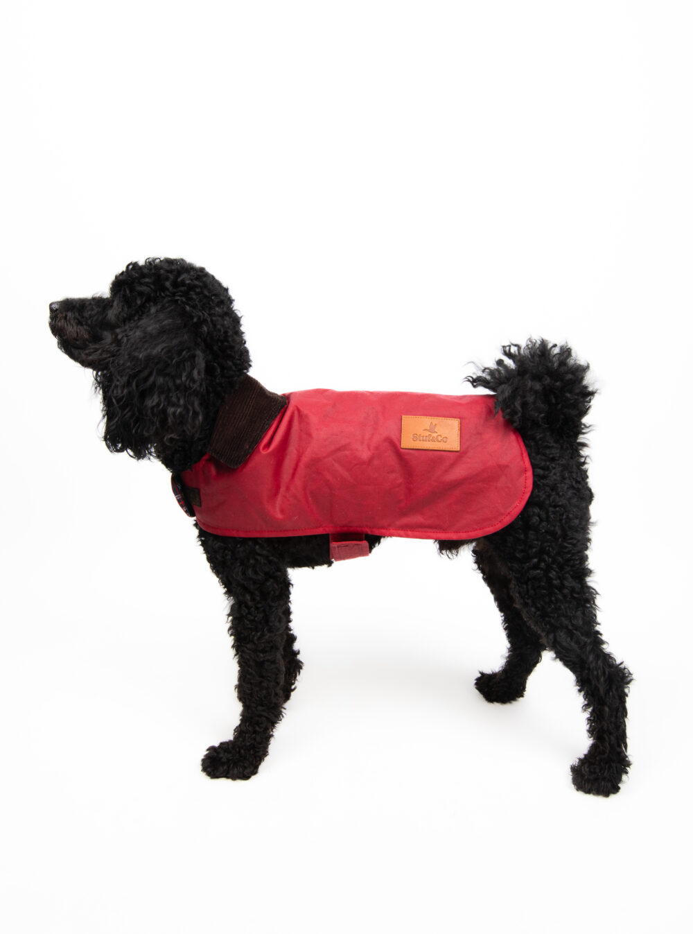 Yağlı Koton Köpek Montu Kırmızı ,Wax Cotton Dog Coat Red